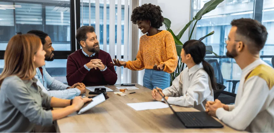 Custom software development process