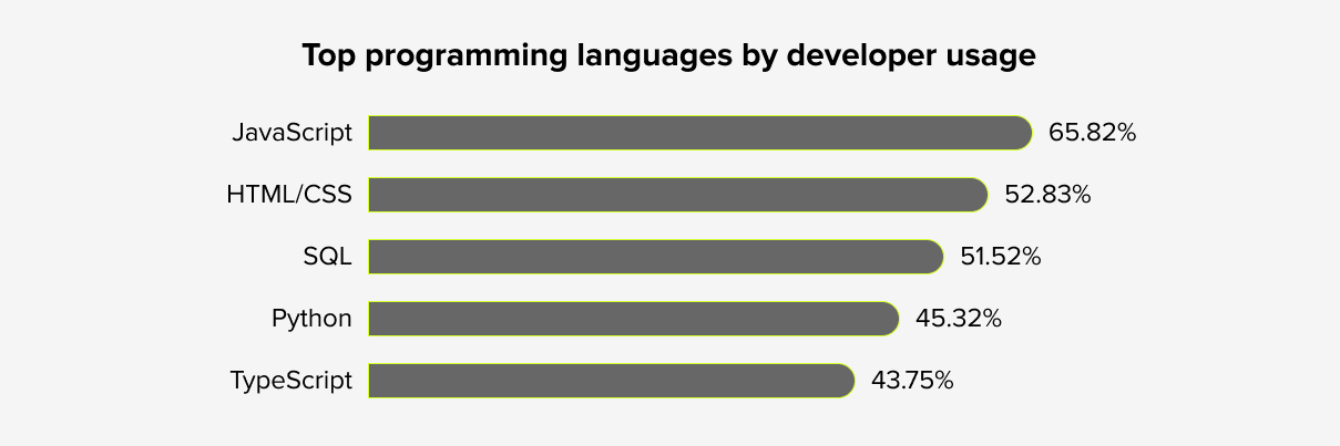 Bar graph showing the top programming languages by developer usage